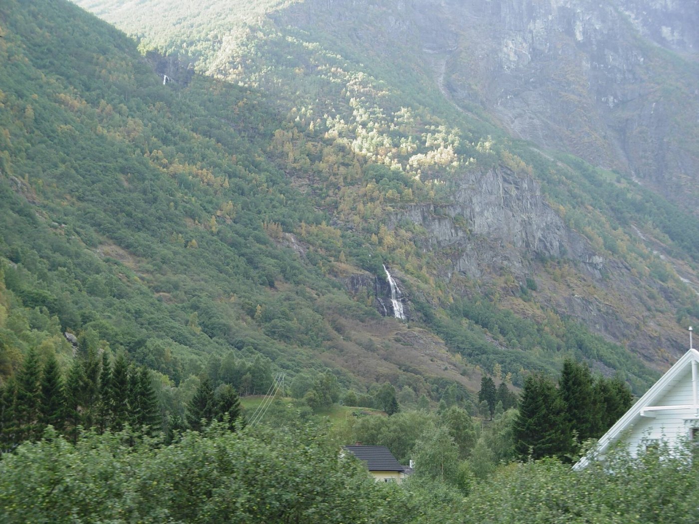 Flåmsbana (50)