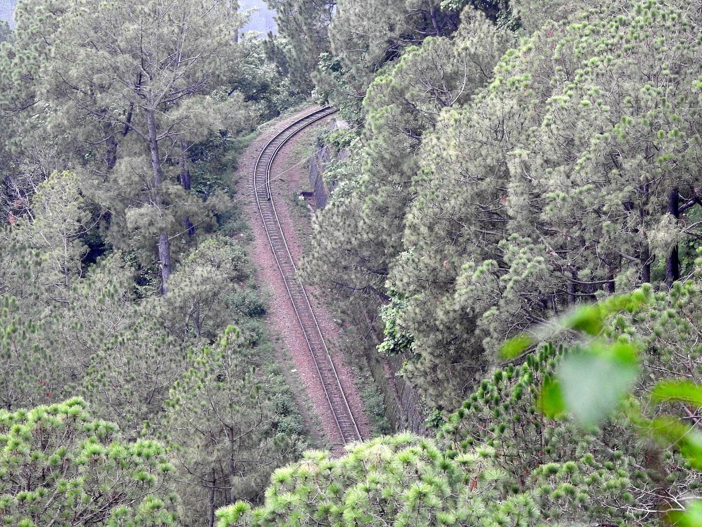 Kalka–Shimla railway track ,view near near Dharampur