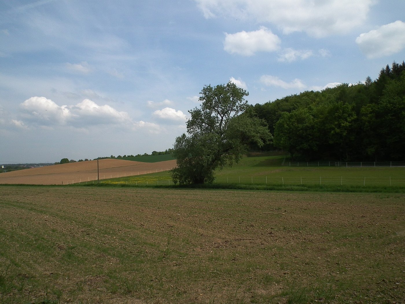 Bretten landwirtschaftliche Flächen