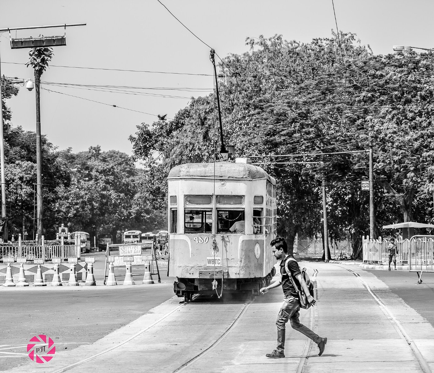 Pride of Kolkata TRAM Pink022