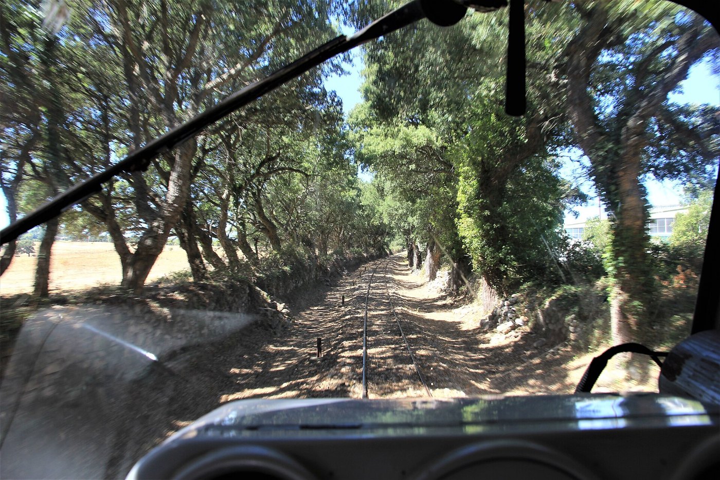 Trenino verde, tratta Sassari Palau (24)