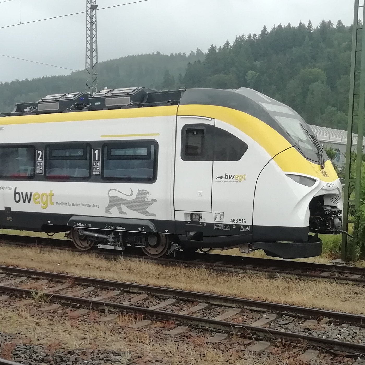 Siemens Mireo in Hausach 01