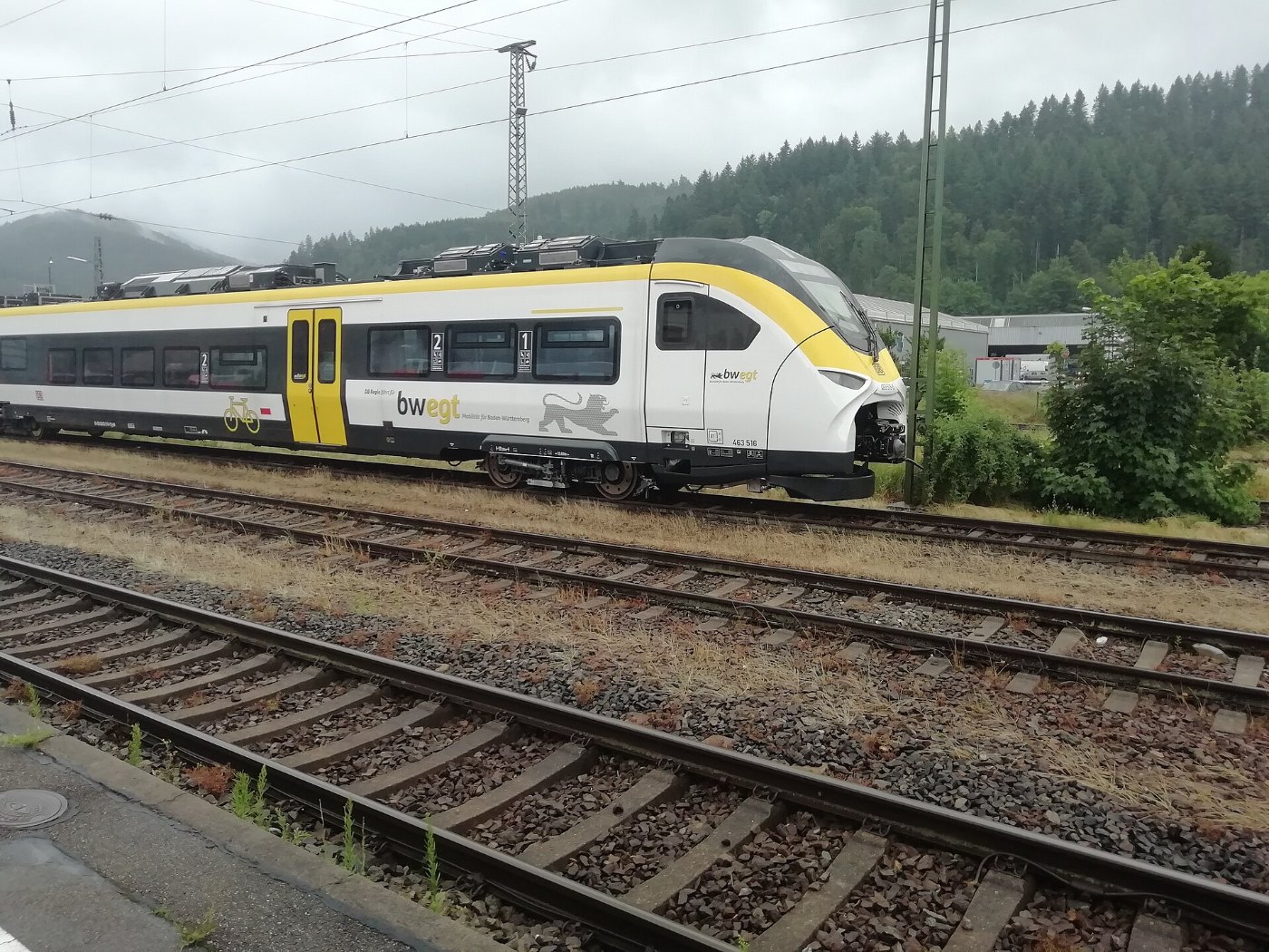 Siemens Mireo in Hausach 02