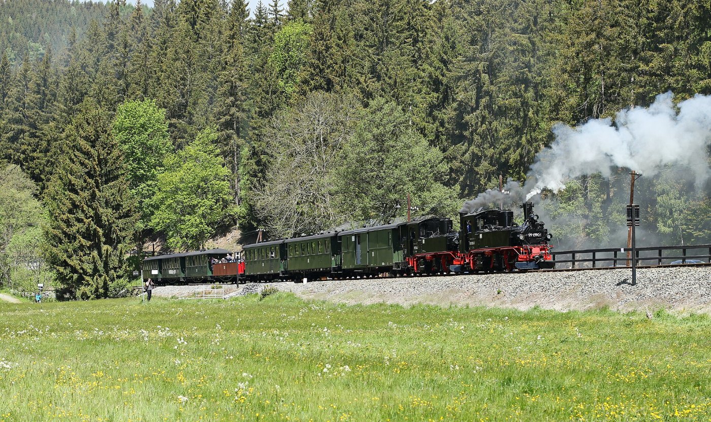 Dampfzug der Preßnitztalbahn in Sachsen 2H1A7497WI