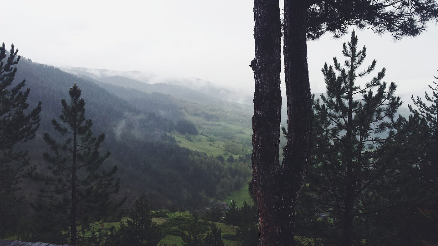 Šarganska osmica, Mokra Gora