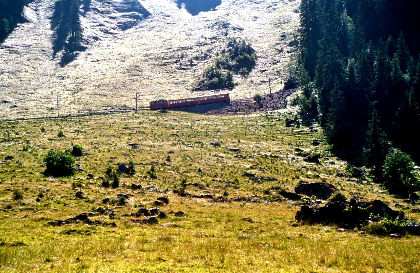 Schweiz Schynige Platte Bahn