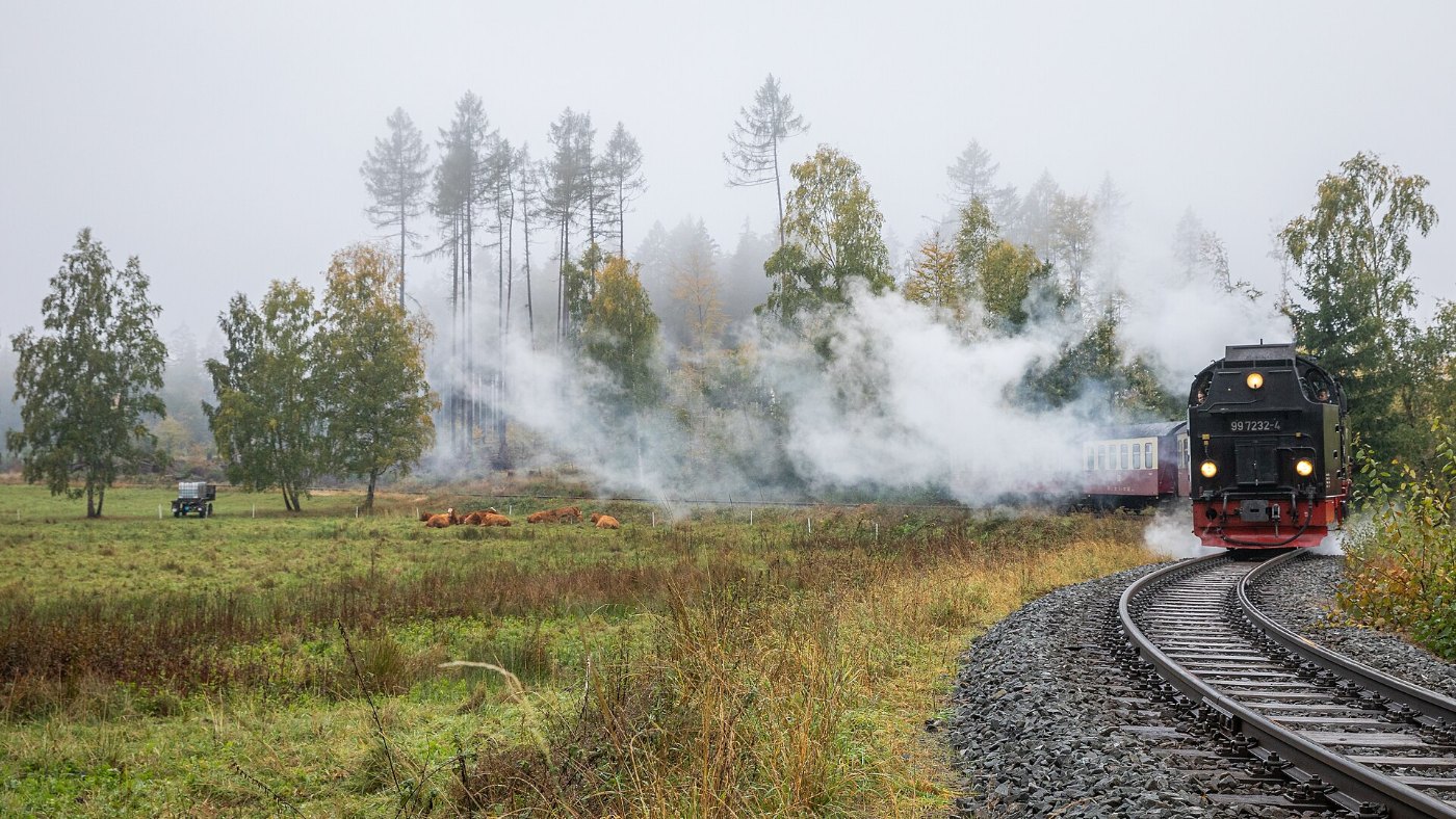 Selketalbahn ()