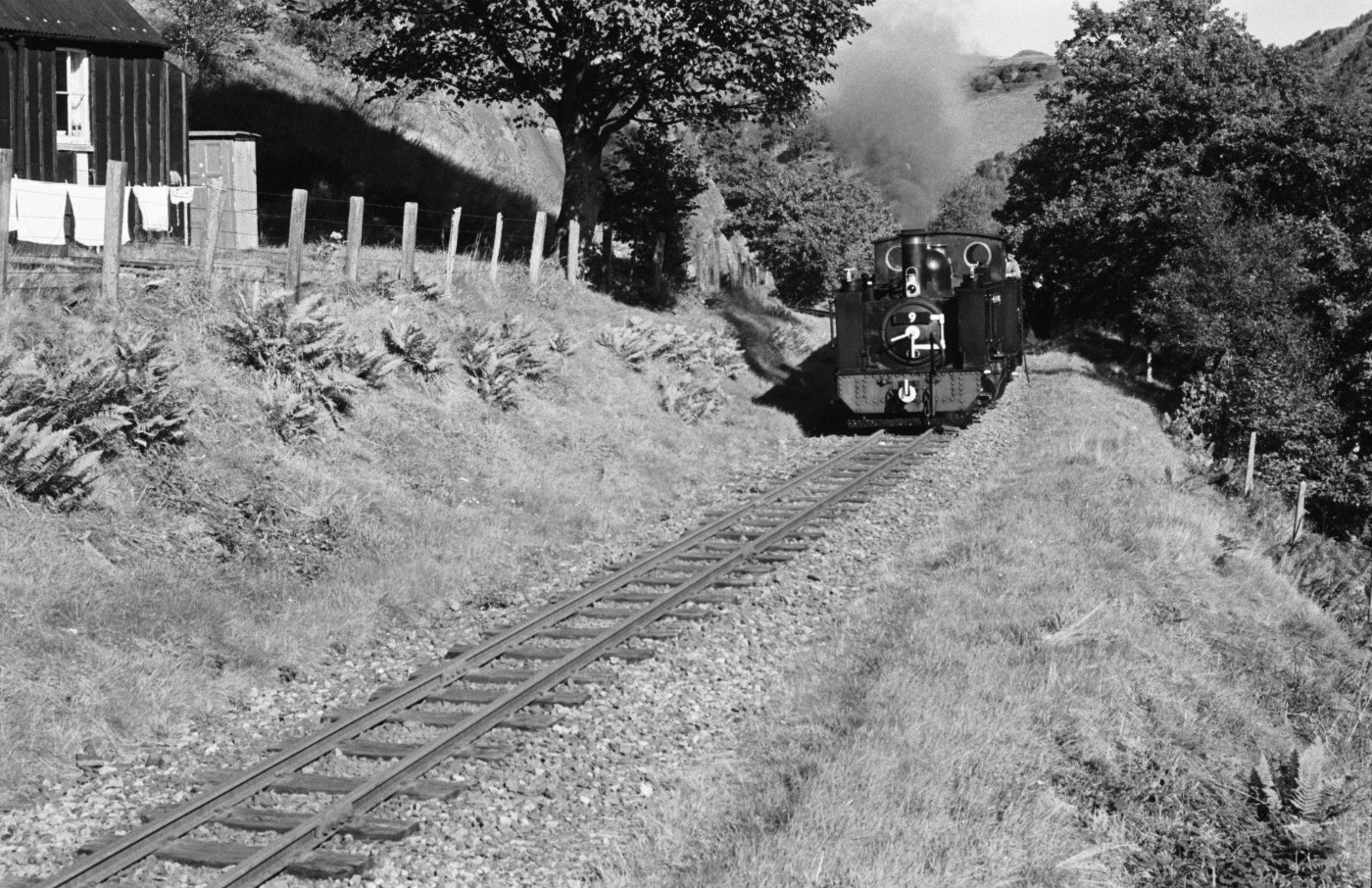Vale of Rheidol railway between Aberystwyth and Devils Bridge, and Snowd