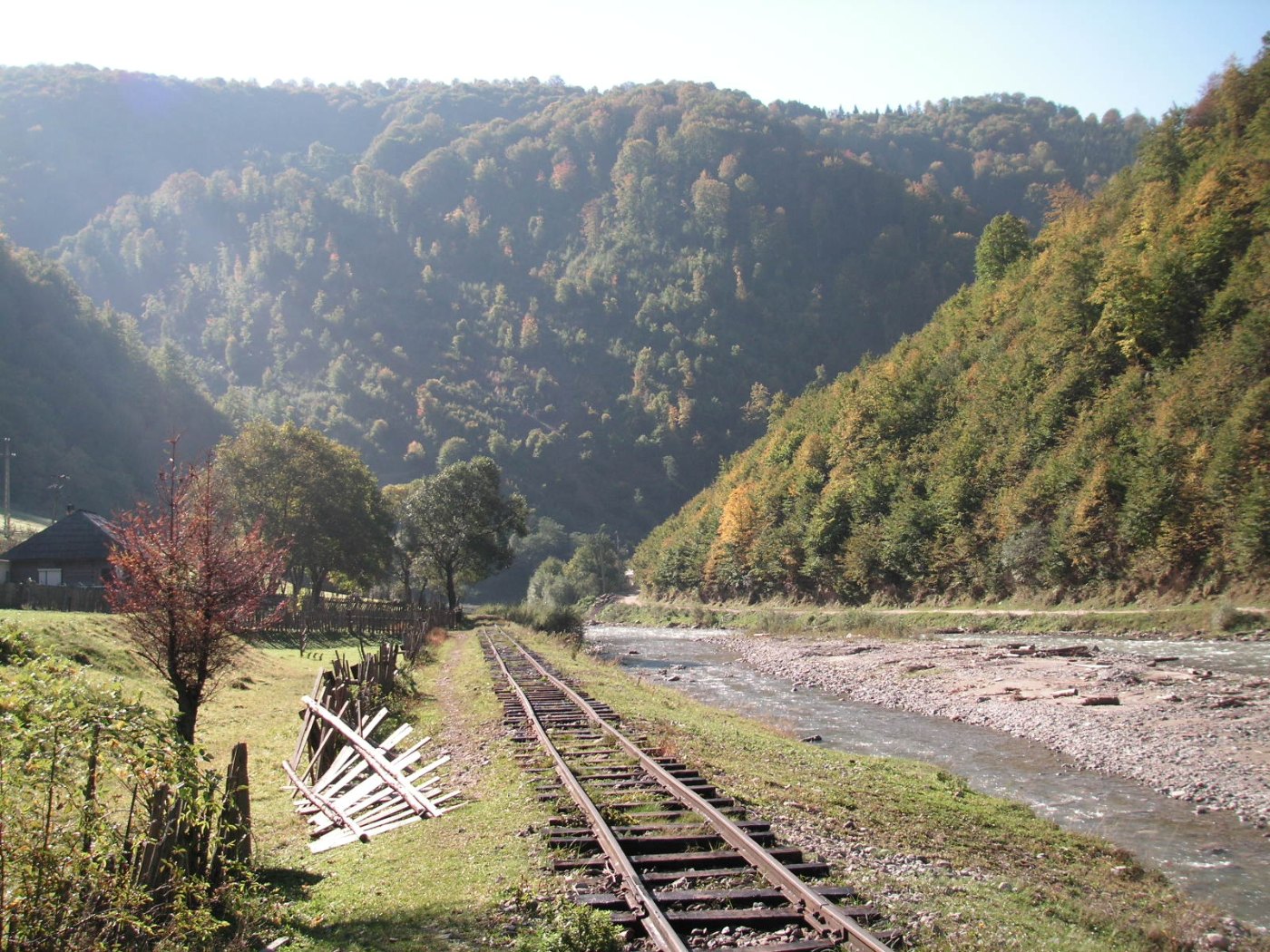 Valea Vaserului 1