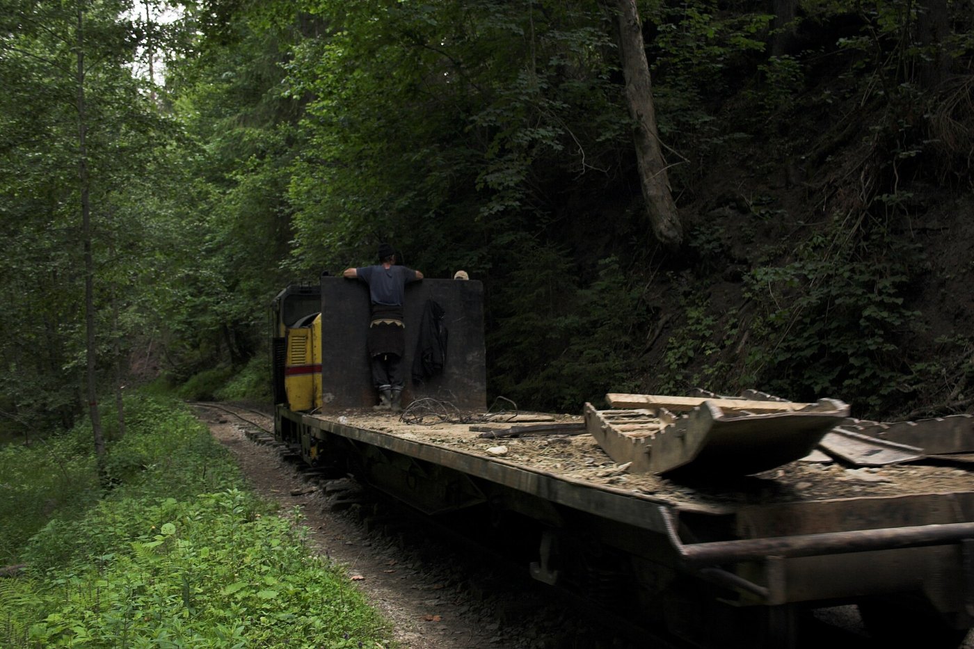 Forest railway, Maramures, Romania
